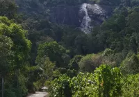 Road to Stong Hill Resort